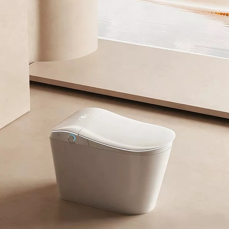Tandas Pintar Dengan Penapis Air Terbina Dalam Dan Flushing yang Diaktifkan Kaki